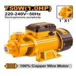 Pompe à eau 1HP 750W INGCO VPM7508