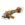 KIT D'OUTILS 5PCS 20V INGCO COSLI251193 – Image 5